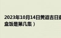 2023年10月14日黄道吉日查询（10月14日沈春阳在工地卖盒饭是第几集）