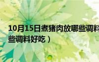 10月15日煮猪肉放哪些调料好吃点（10月15日煮猪肉放哪些调料好吃）