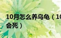 10月怎么养乌龟（10月15日用热水养龟会不会死）