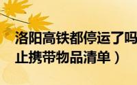 洛阳高铁都停运了吗（10月08日洛阳高铁禁止携带物品清单）