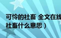 可怜的社畜 全文在线阅读（10月15日可怜的社畜什么意思）