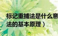 标记重捕法是什么意思（10月08日标记重捕法的基本原理）