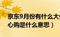 京东9月份有什么大促（10月15日京东有放心购是什么意思）