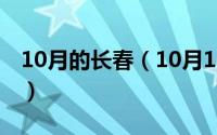 10月的长春（10月15日长春有哪些地方好玩）