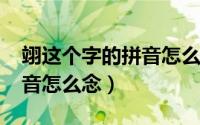 翊这个字的拼音怎么读（10月15日翊字的拼音怎么念）