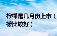 柠檬是几月份上市（10月15日哪个产地的柠檬比较好）