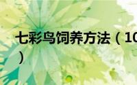 七彩鸟饲养方法（10月16日七彩鸟怎样饲养）