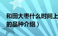 和田大枣什么时间上市（10月16日和田大枣的品种介绍）