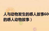 人与动物发生的感人故事600字（10月16日女人和动物发生的感人动物故事）