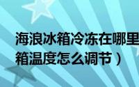 海浪冰箱冷冻在哪里调节（10月16日海浪冰箱温度怎么调节）