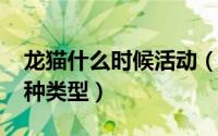 龙猫什么时候活动（10月16日龙猫分别有几种类型）