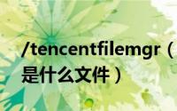 /tencentfilemgr（10月16日tencentfiles是什么文件）