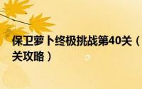 保卫萝卜终极挑战第40关（10月08日保卫萝卜终极挑战45关攻略）