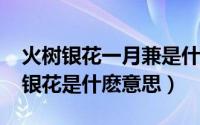 火树银花一月兼是什么生肖（10月16日火树银花是什麽意思）