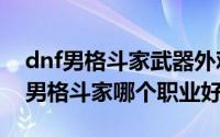 dnf男格斗家武器外观排行（10月16日DNF男格斗家哪个职业好）