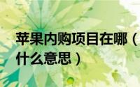 苹果内购项目在哪（10月17日苹果内购项目什么意思）