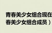 青春美少女组合现在人员（10月17日韩国青春美少女组合成员）