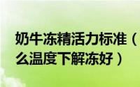 奶牛冻精活力标准（10月17日奶牛冻精在什么温度下解冻好）