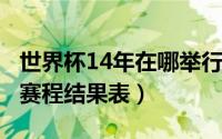 世界杯14年在哪举行（10月17日14年世界杯赛程结果表）