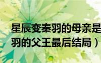 星辰变秦羽的母亲是谁（10月08日星辰变秦羽的父王最后结局）