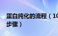 蛋白纯化的流程（10月17日蛋白纯化原理及步骤）