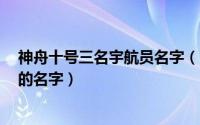 神舟十号三名宇航员名字（10月17日神舟15号三名航天员的名字）