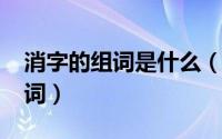 消字的组词是什么（10月08日消字有什么组词）