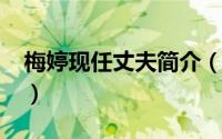 梅婷现任丈夫简介（10月08日梅婷丈夫简介）