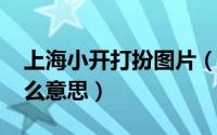 上海小开打扮图片（10月18日上海小开是什么意思）