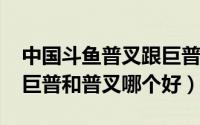 中国斗鱼普叉跟巨普的区别（10月08日斗鱼巨普和普叉哪个好）