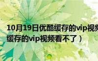 10月19日优酷缓存的vip视频看不了怎么办（10月19日优酷缓存的vip视频看不了）