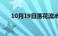 10月19日落花流水春已去dj歌词大意