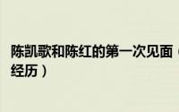 陈凯歌和陈红的第一次见面（10月19日陈凯歌和陈红的爱情经历）