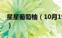 星星葡萄柚（10月19日星星葡萄什么时候熟）