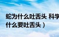 蛇为什么吐舌头 科学小故事（10月19日蛇为什么要吐舌头）