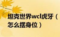 坦克世界wcl虎牙（10月08日坦克世界虎王怎么摆身位）