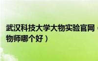 武汉科技大学大物实验官网（10月08日迪佳大物师与中继大物师哪个好）