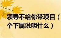 领导不给你带项目（10月08日领导带不了几个下属说明什么）