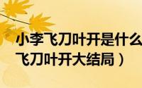 小李飞刀叶开是什么电视剧（10月19日小李飞刀叶开大结局）