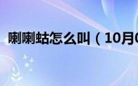 喇喇蛄怎么叫（10月08日东北喇蛄是什么）