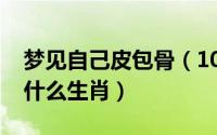 梦见自己皮包骨（10月20日一对鸳鸯戏水像什么生肖）