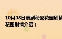 10月08日泰剧秘密花园剧情介绍视频（10月08日泰剧秘密花园剧情介绍）