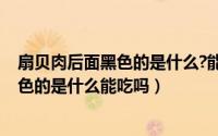 扇贝肉后面黑色的是什么?能吃吗（10月08日扇贝肉后面黑色的是什么能吃吗）