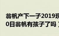 翁帆产下一子2019现在健康活泼吗?（10月20日翁帆有孩子了吗）