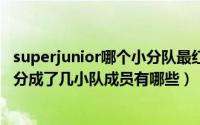 superjunior哪个小分队最红（10月08日SuperJunior到底分成了几小队成员有哪些）