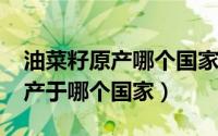 油菜籽原产哪个国家（10月08日油菜籽最早产于哪个国家）