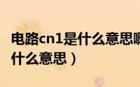 电路cn1是什么意思啊（10月20日电路cnd是什么意思）