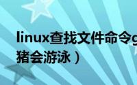 linux查找文件命令grep（10月21日为什么猪会游泳）