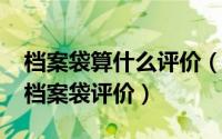 档案袋算什么评价（10月21日什么是真正的档案袋评价）