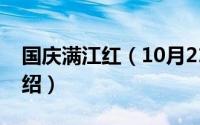 国庆满江红（10月21日贺岁片满江红剧情介绍）